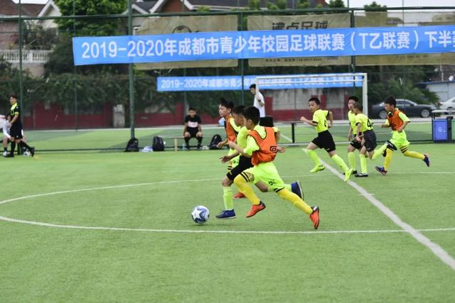 “水立方”再迎跳水世界杯总决赛 中国队以老带新、满额参赛